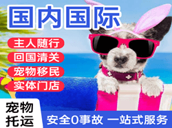 西双版纳嘎洒航空快递国际宠物托运 【国